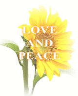�g��ޱ����߰��A�`���b�g���f�B���l�h